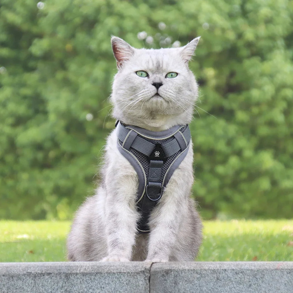 Escape-Proof Reflective Cat Harness & Leash Set — Breathable Vest for Outdoor Walking