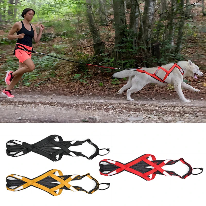 Reflective Padded Dog Sledding Harness for Medium & Large Dogs