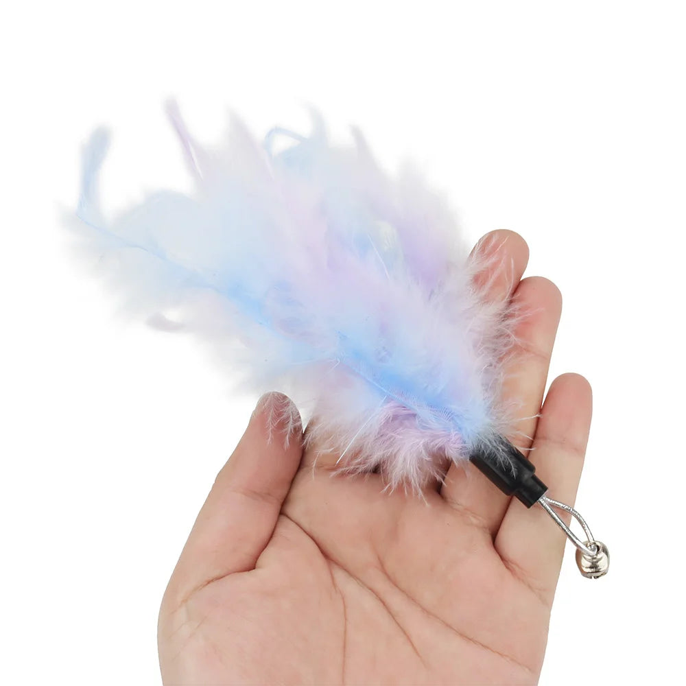 Bright Colour Feather Cat Teaser Replacement Pack (5 Pcs Random Mix)