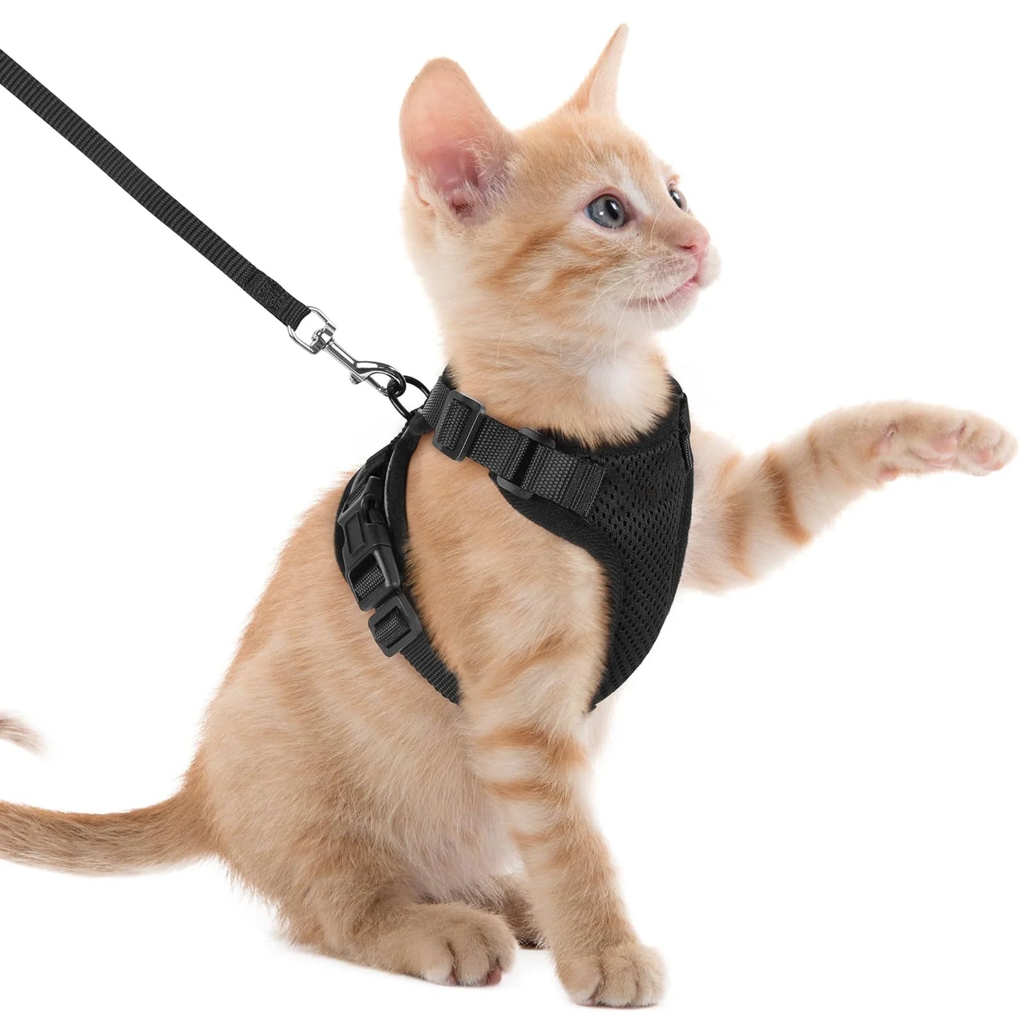 Escape-Proof Cat Harness & Lead Set — Adjustable Reflective Mesh Vest for Cats & Small Dogs