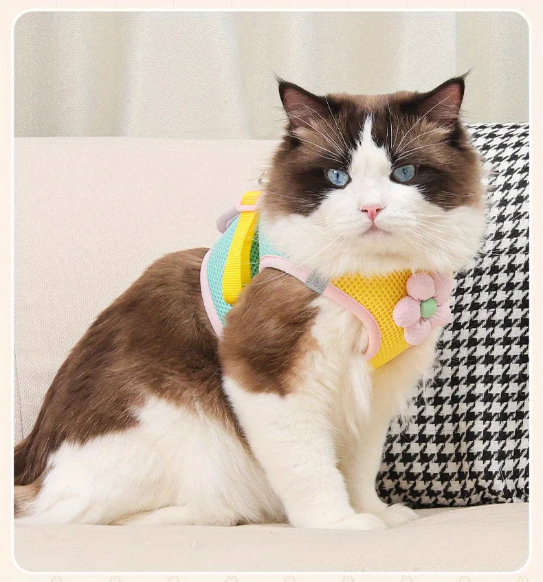 Breathable Mesh Pet Harness and Leash Set