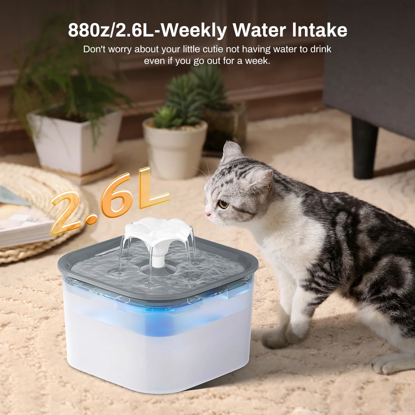 Fontaine à eau pour animaux de compagnie de 2,6 litres avec pompe à eau filtrée silencieuse, distributeur d'eau pour chats, chiens et animaux de compagnie d'intérieur