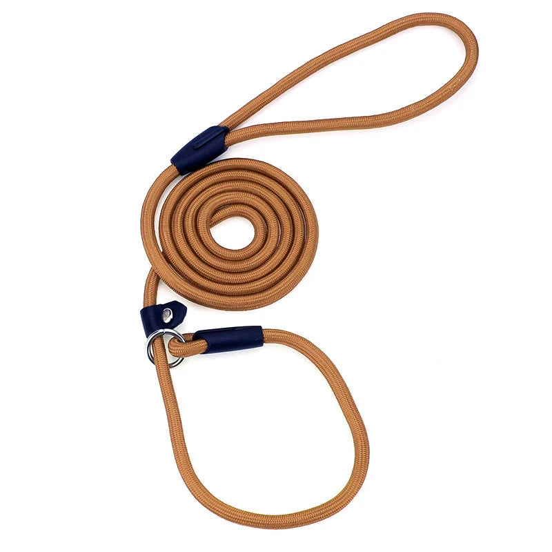 Nylon Slip Lead Training Leash for Small & Medium Dogs