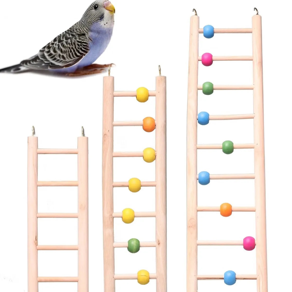Échelle d'escalade en bois massif pour perroquets et oiseaux