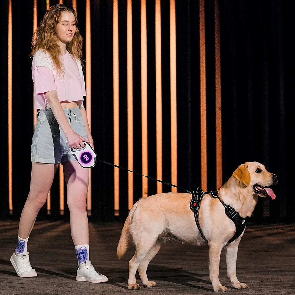 LED Retractable Dog Leash | 5M Rechargeable Light-Up Leash