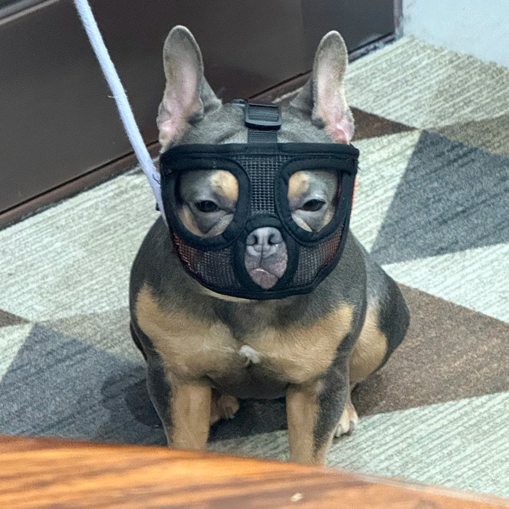 Breathable Mesh Dog Muzzle | Anti-Bite & Anti-Ingestion