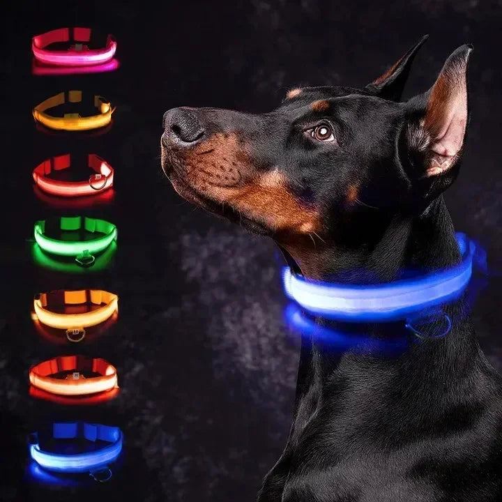 Collier lumineux LED pour chien - Réglable, clignotant, rechargeable - Collier lumineux pour la sécurité nocturne - Harnais lumineux anti-perte pour chien