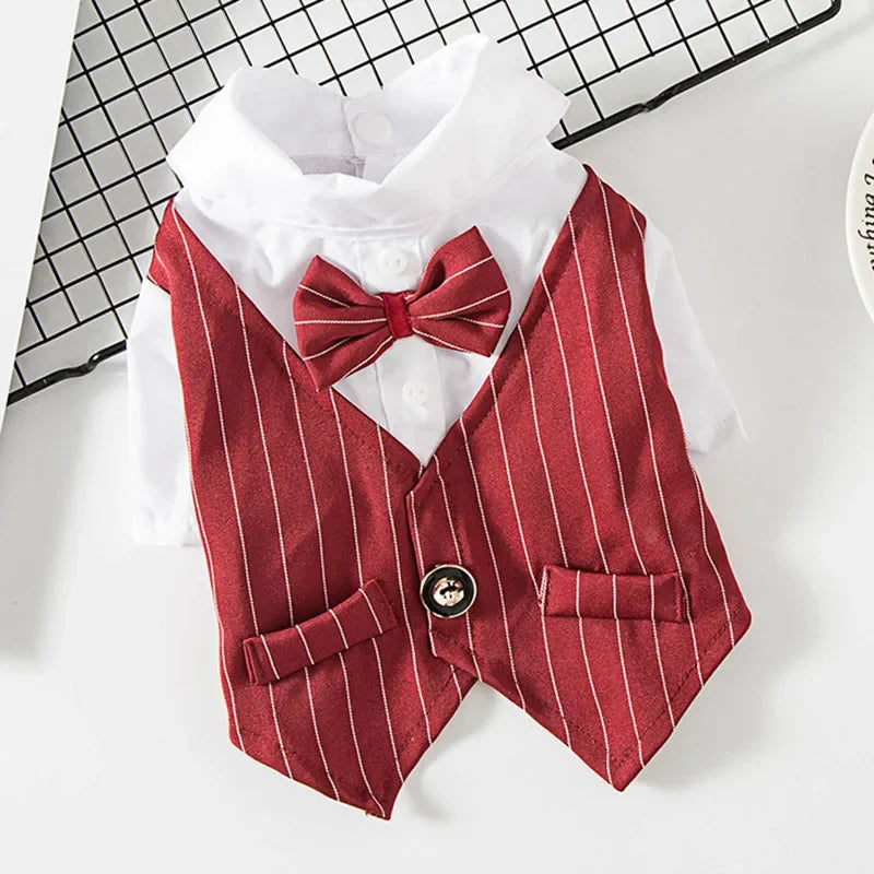 Striped Tuxedo Jacket with Bow for Small Dogs & Cats