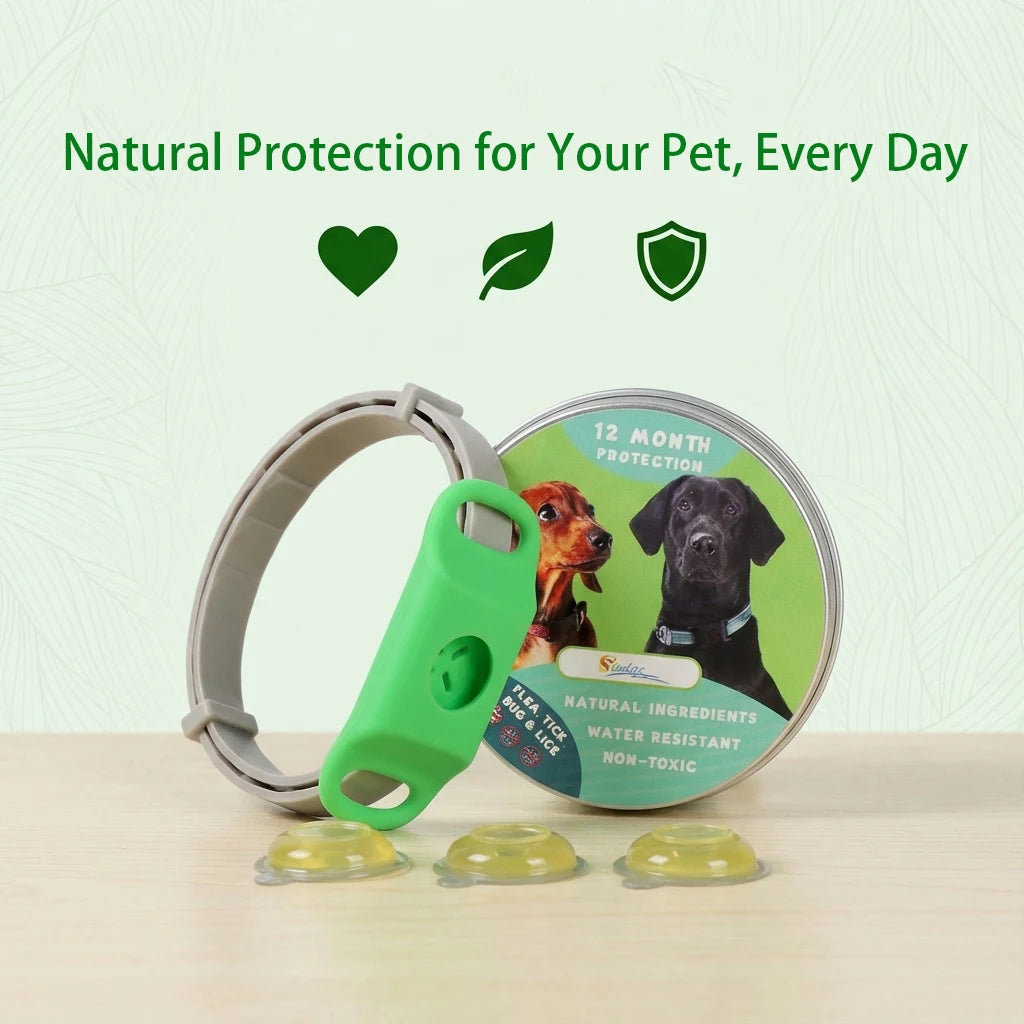 Natural Essential Oil Flea & Tick Collar Pendant – Chemical-Free Protection for Dogs & Cats