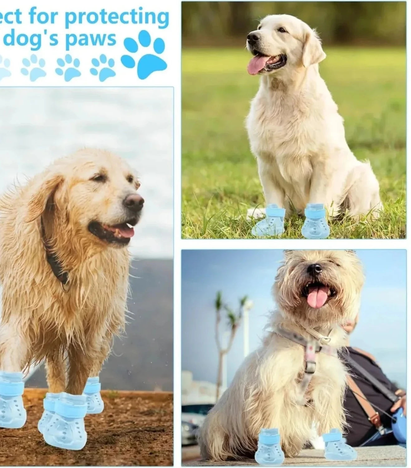 Bottes imperméables pour chien avec semelle antidérapante