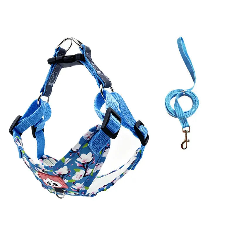 Adjustable Dog Harness & Leash Set with Reflective Strips