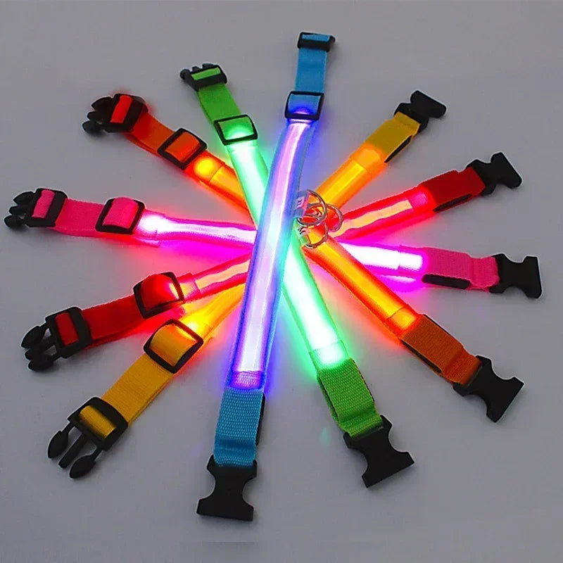 Collier lumineux LED pour chien - Réglable, clignotant, rechargeable - Collier lumineux pour la sécurité nocturne - Harnais lumineux anti-perte pour chien