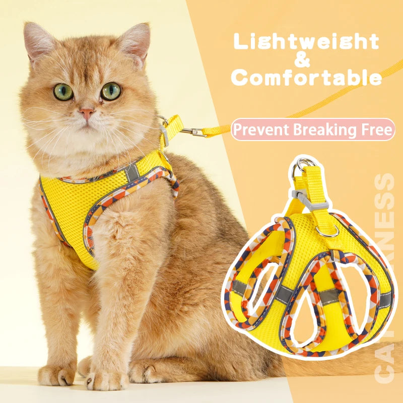 No-Pull Step-In Dog Harness & Leash Set for Small & Medium Dogs
