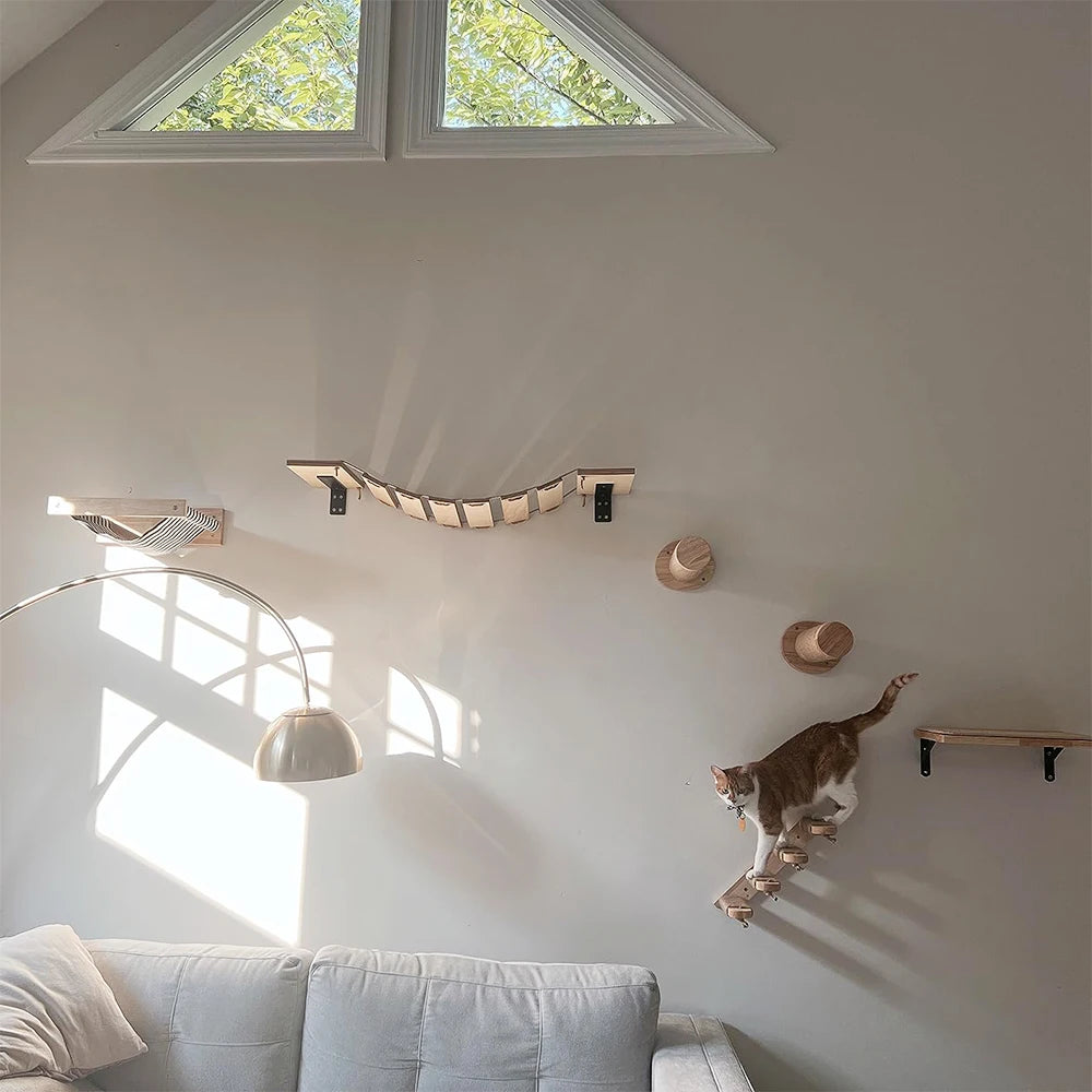 Wall-Mounted Cat Climbing Furniture & Hammocks