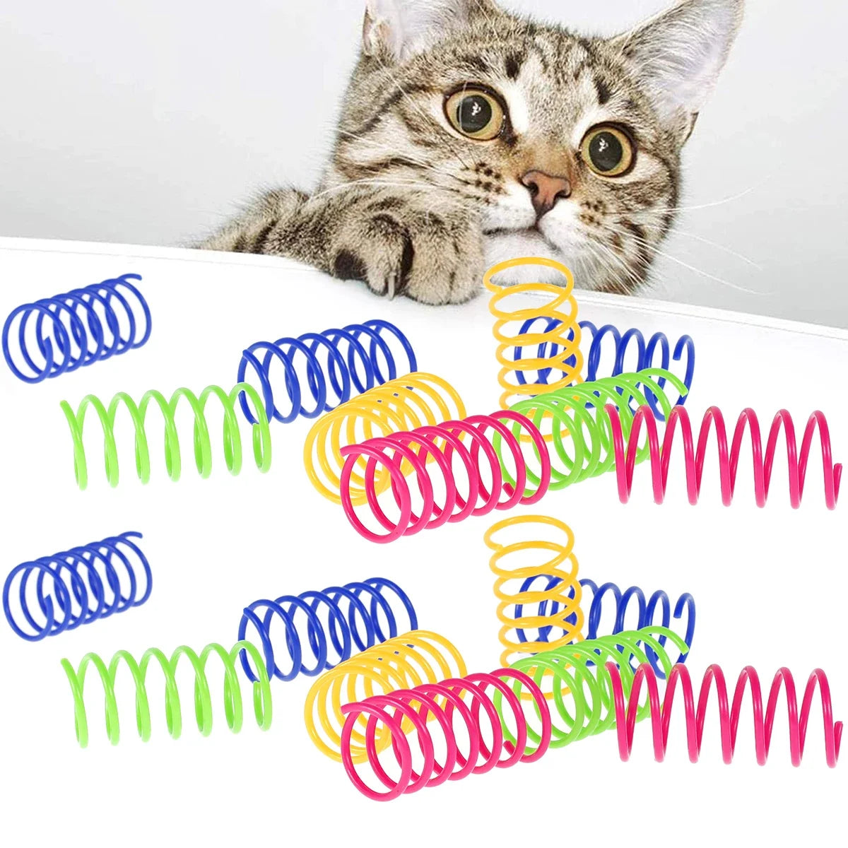 Colorful Spring Coil Toys for Cats