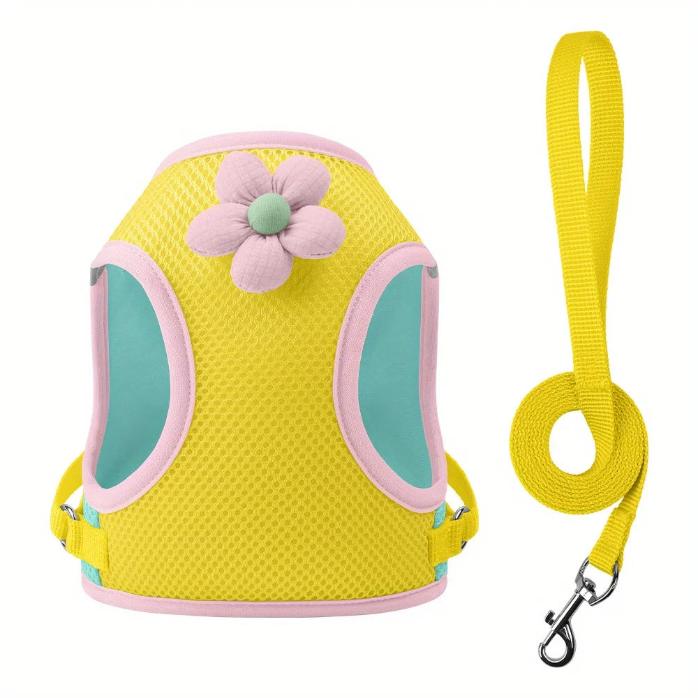 Breathable Mesh Pet Harness and Leash Set