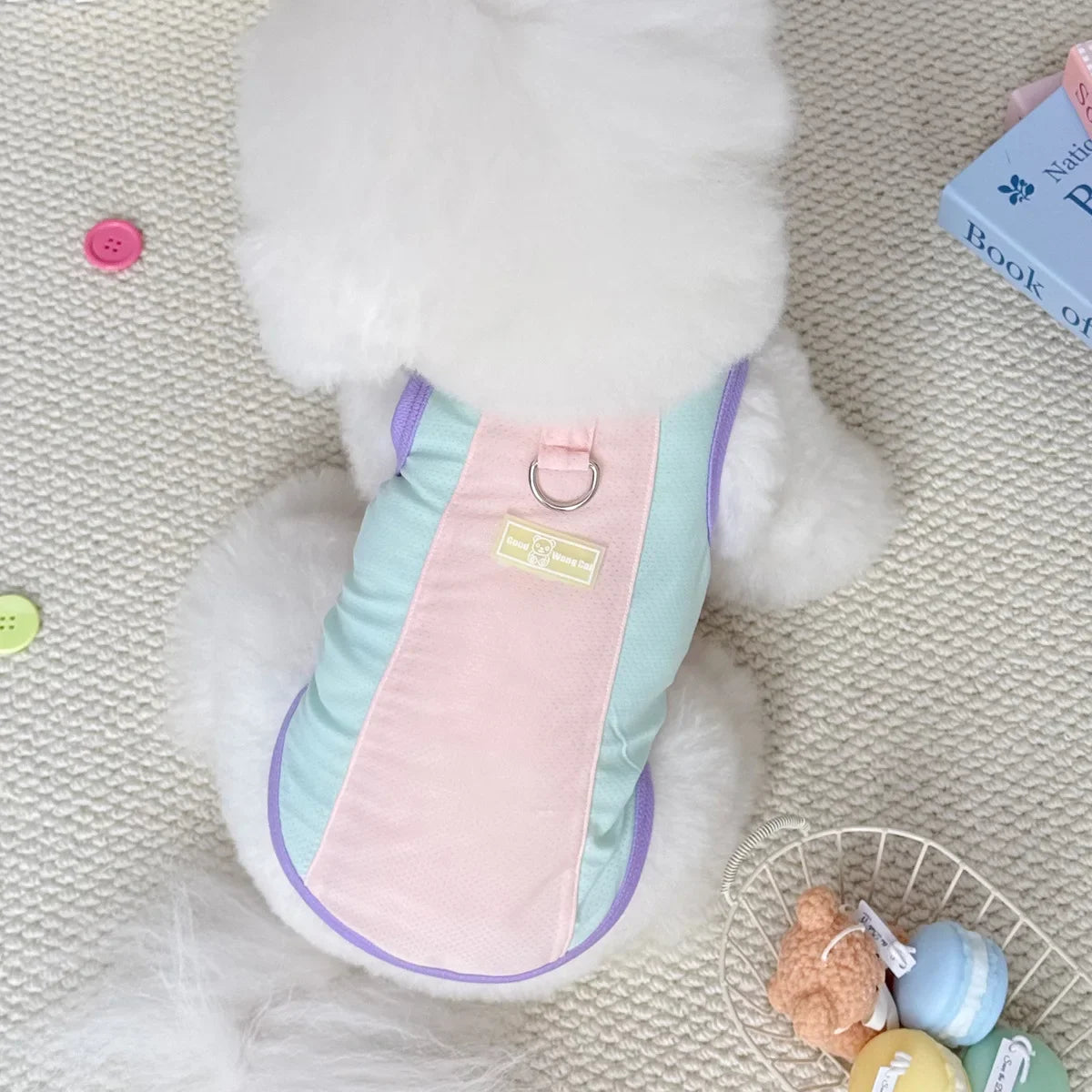 Gilet rafraîchissant réfléchissant et t-shirt d'été pour chiens et chats de petite, moyenne et grande taille
