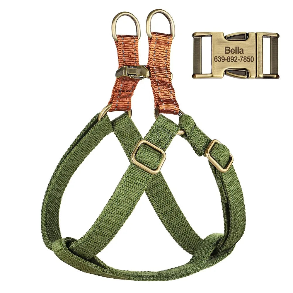 Ensemble harnais de dressage et collier personnalisé pour chien