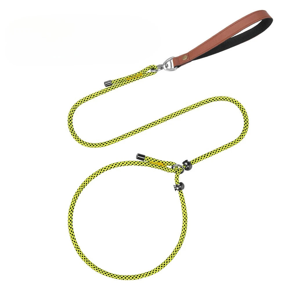 Laisse-collier étrangleur anti-nœuds réglable pour petits chiens