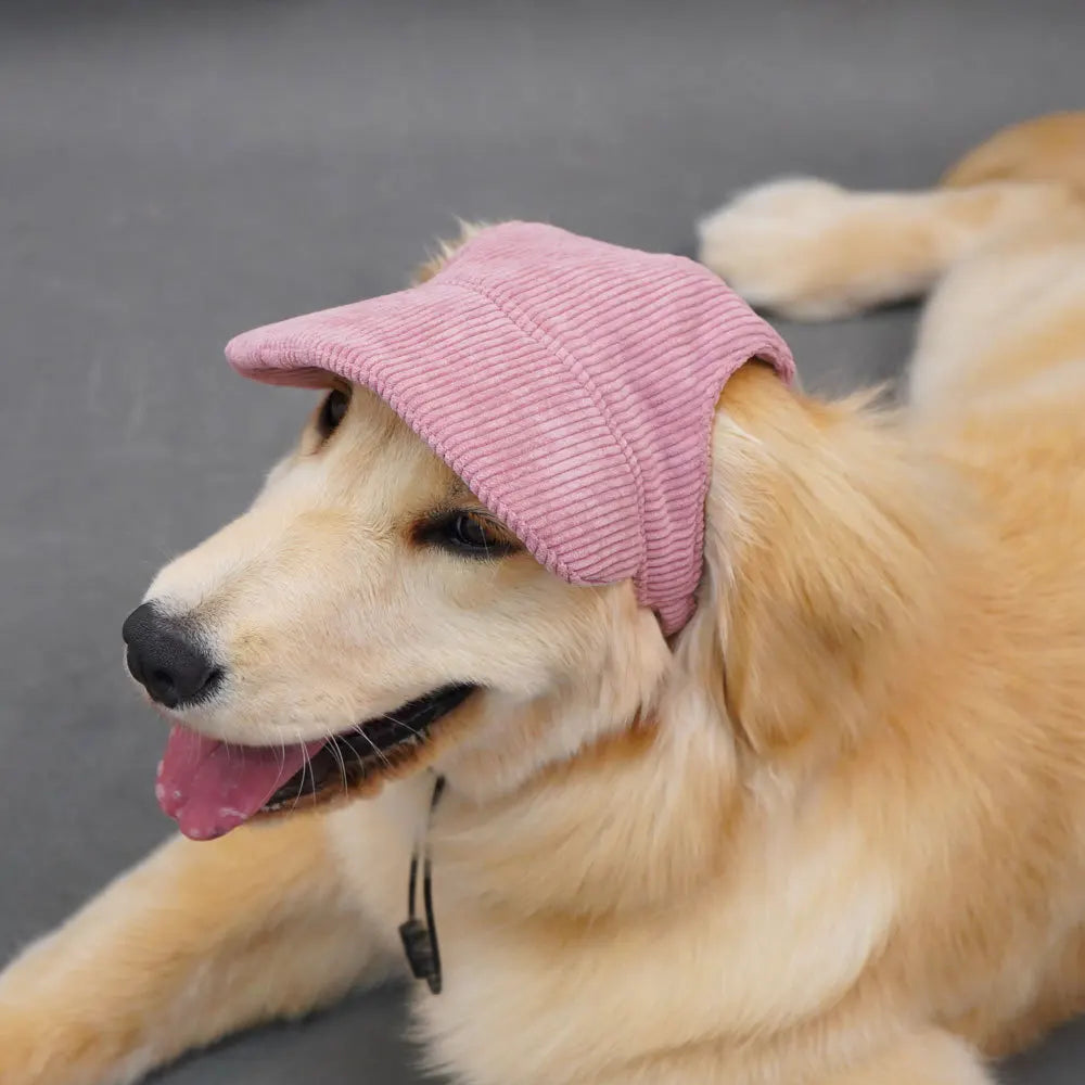 Fashionable Pet Dog Hat with Adjustable Sun Protection XS to XL Size for Small Medium Large Dogs Pet Outdoor Suppies Accessories