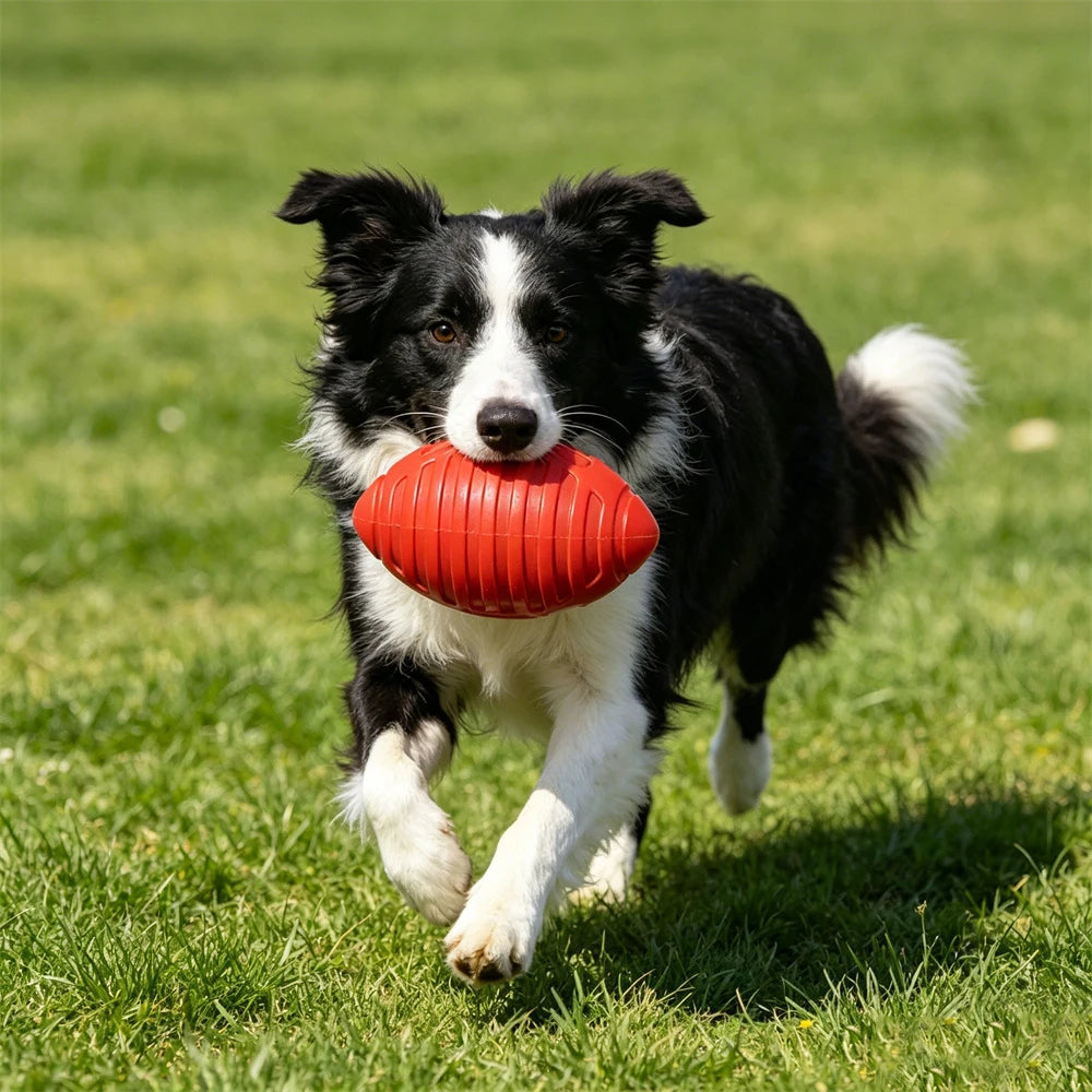 Indestructible TPR Dog Chew Toy for Aggressive Chewers