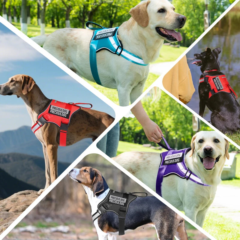 Harnais réfléchissant respirant sans traction pour chien