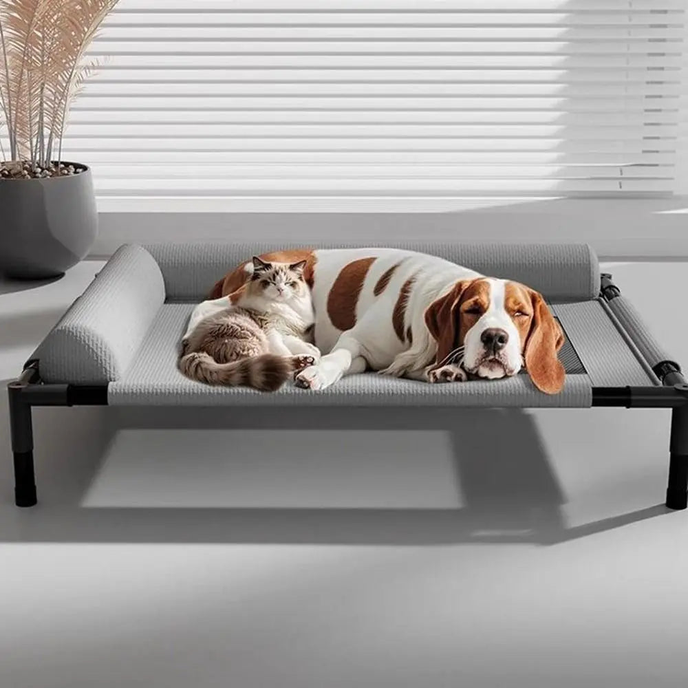 Elevated Mesh Dog Bed with Pillow — Breathable Raised Outdoor & Indoor Pet Bed