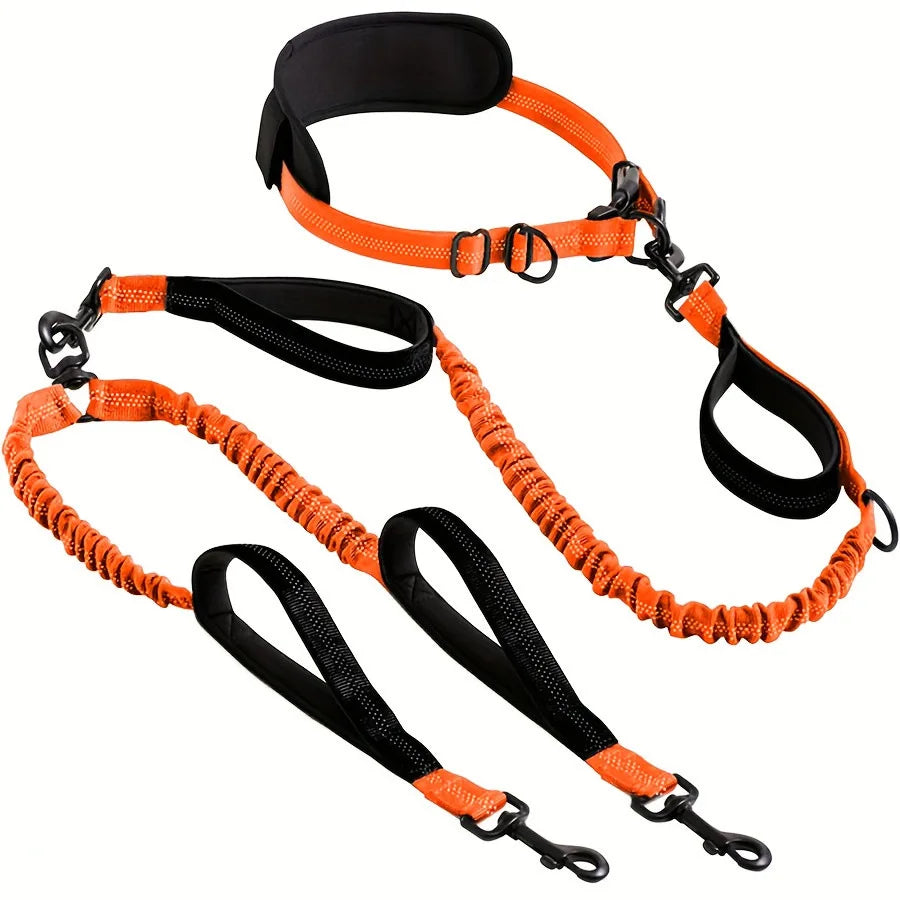 Double Dog Leash with Elastic Shock Absorber