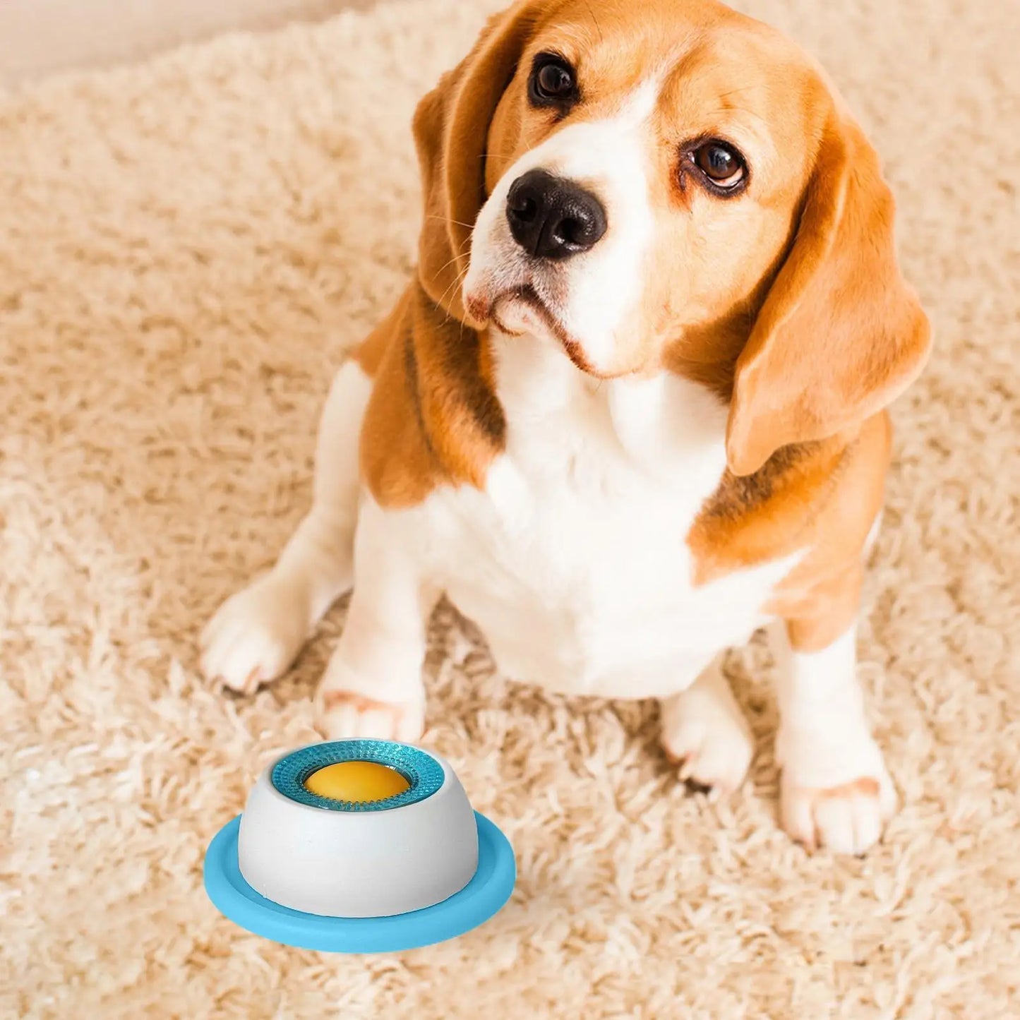 Slow Feeder Lick Mat & Puzzle Toy for Dogs & Cats