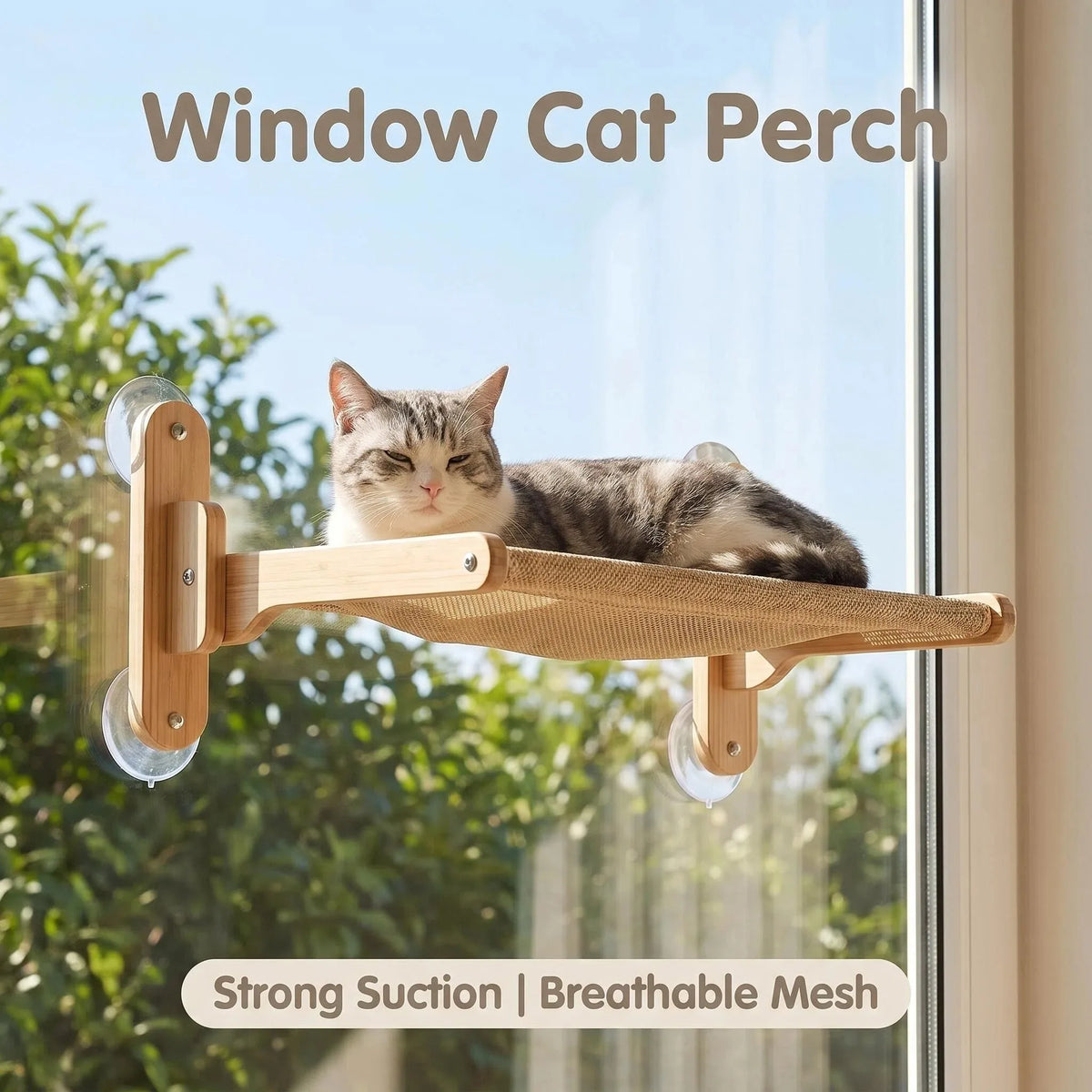 Large Wall-Mounted Cat Hammock – Solid Wood Frame with Suction Cups