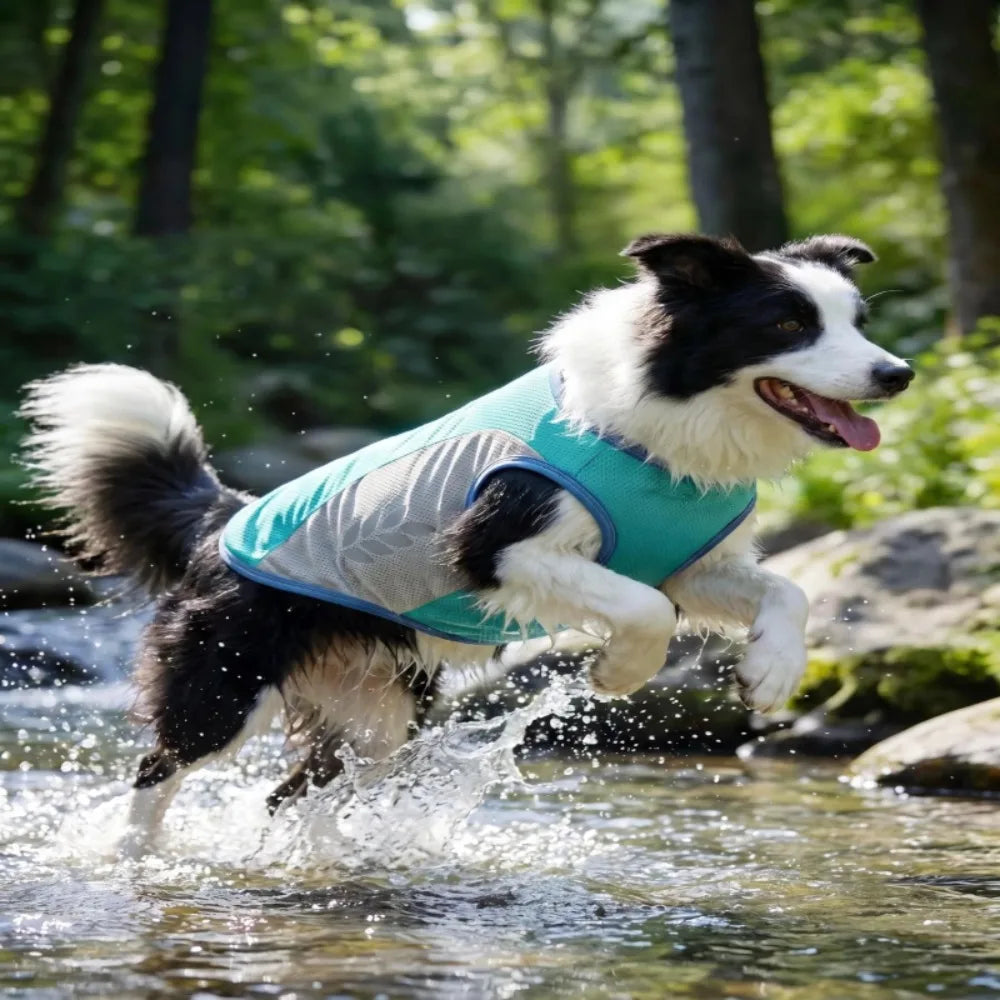 Reflective Cooling Vest for Dogs & Cats