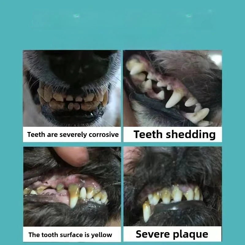 Sonic Pet Dental Cleaner – Plaque & Calculus Remover for Dogs & Cats with LED Light