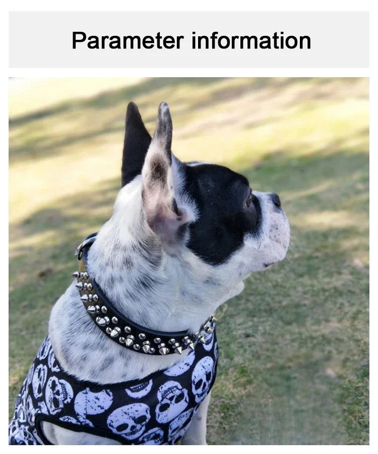 PU Leather Punk Rivet Spiked Collar for Small Dogs & Cats