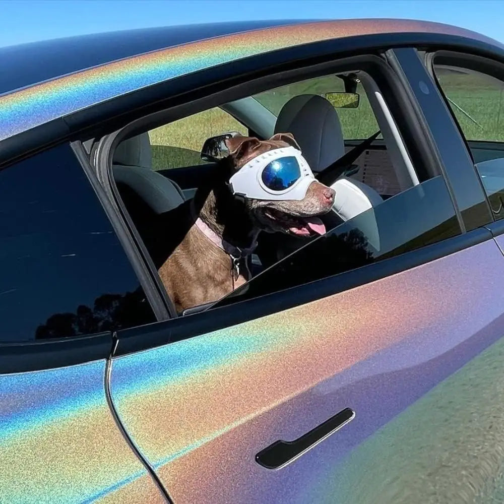 Dog Goggles for Large Breeds - Windproof Snowproof Eye Protection