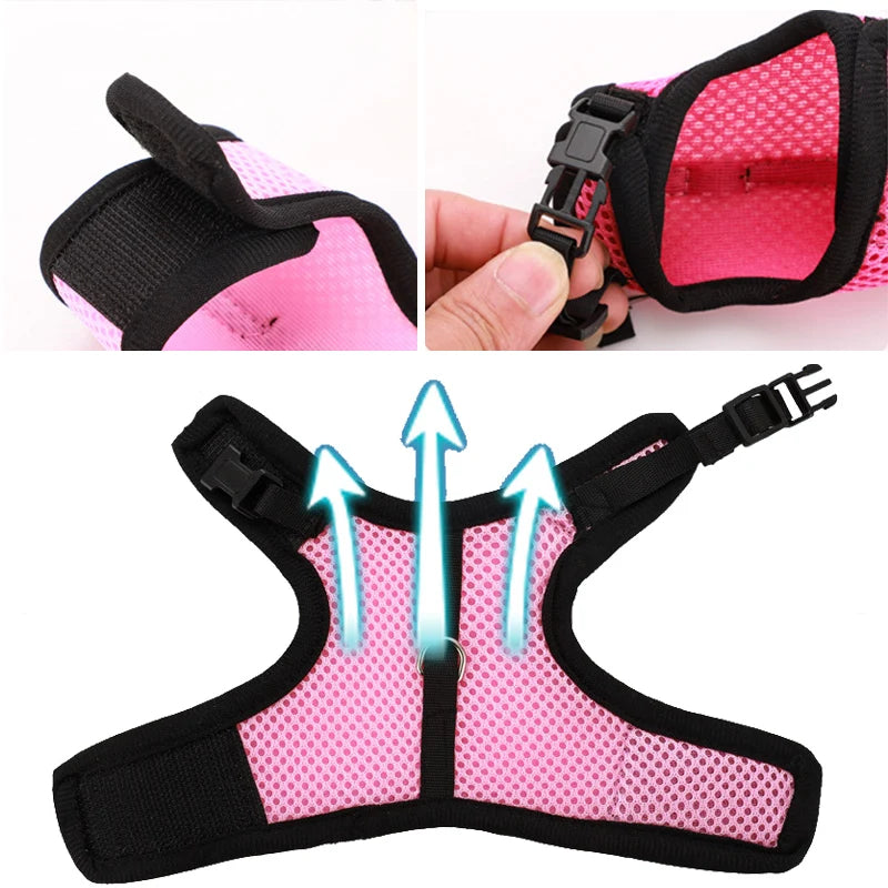 Mesh Breathable Harness & Leash Set for Rabbits, Ferrets & Small Pets