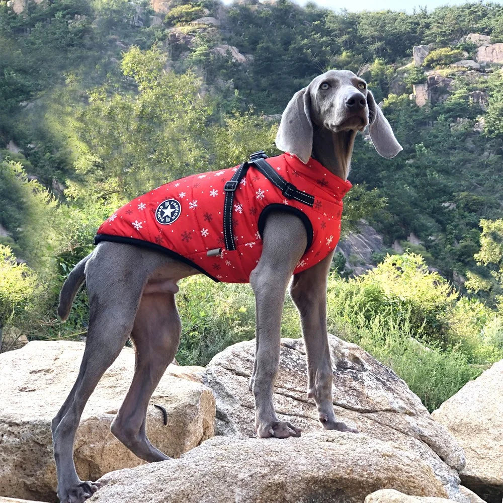 Reflective Fleece Dog Jacket with Integrated Harness