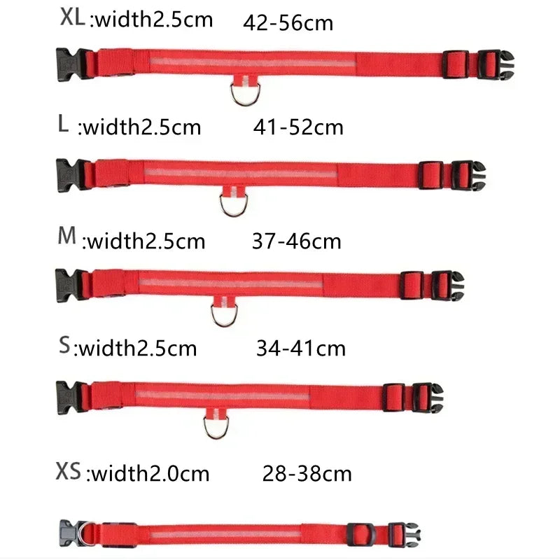 Collier lumineux LED pour chien - Réglable, clignotant, rechargeable - Collier lumineux pour la sécurité nocturne - Harnais lumineux anti-perte pour chien