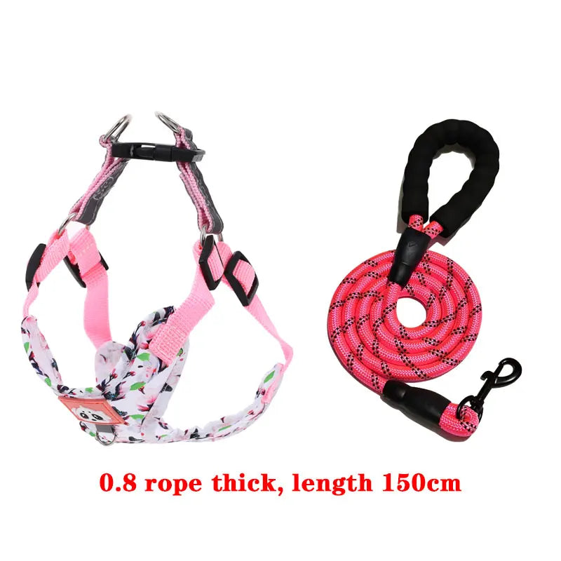 Adjustable Dog Harness & Leash Set with Reflective Strips
