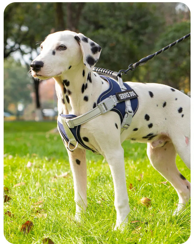 No Pull Dog Harness with Front Clip and Handle