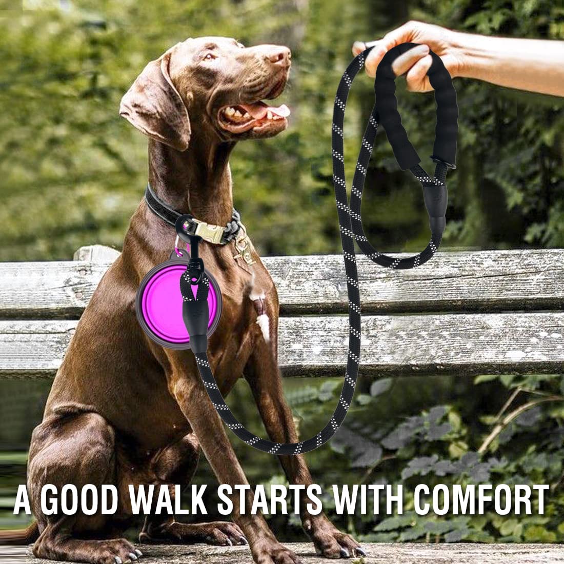 Reflective Dog Leash for All Sizes