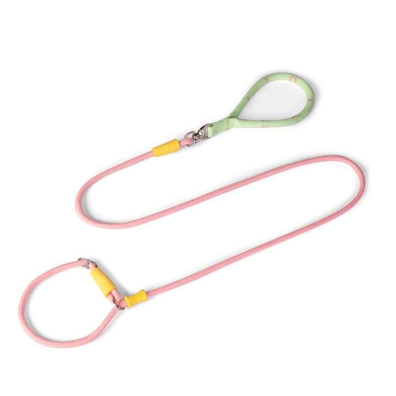 Laisse et collier combinés en nylon pour petits chiens