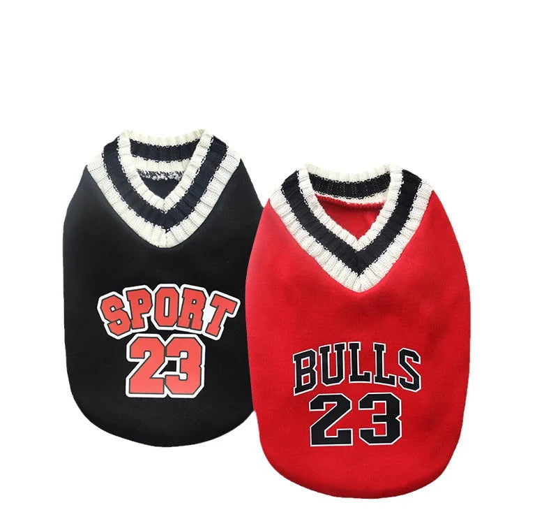 Pull pour chien style universitaire