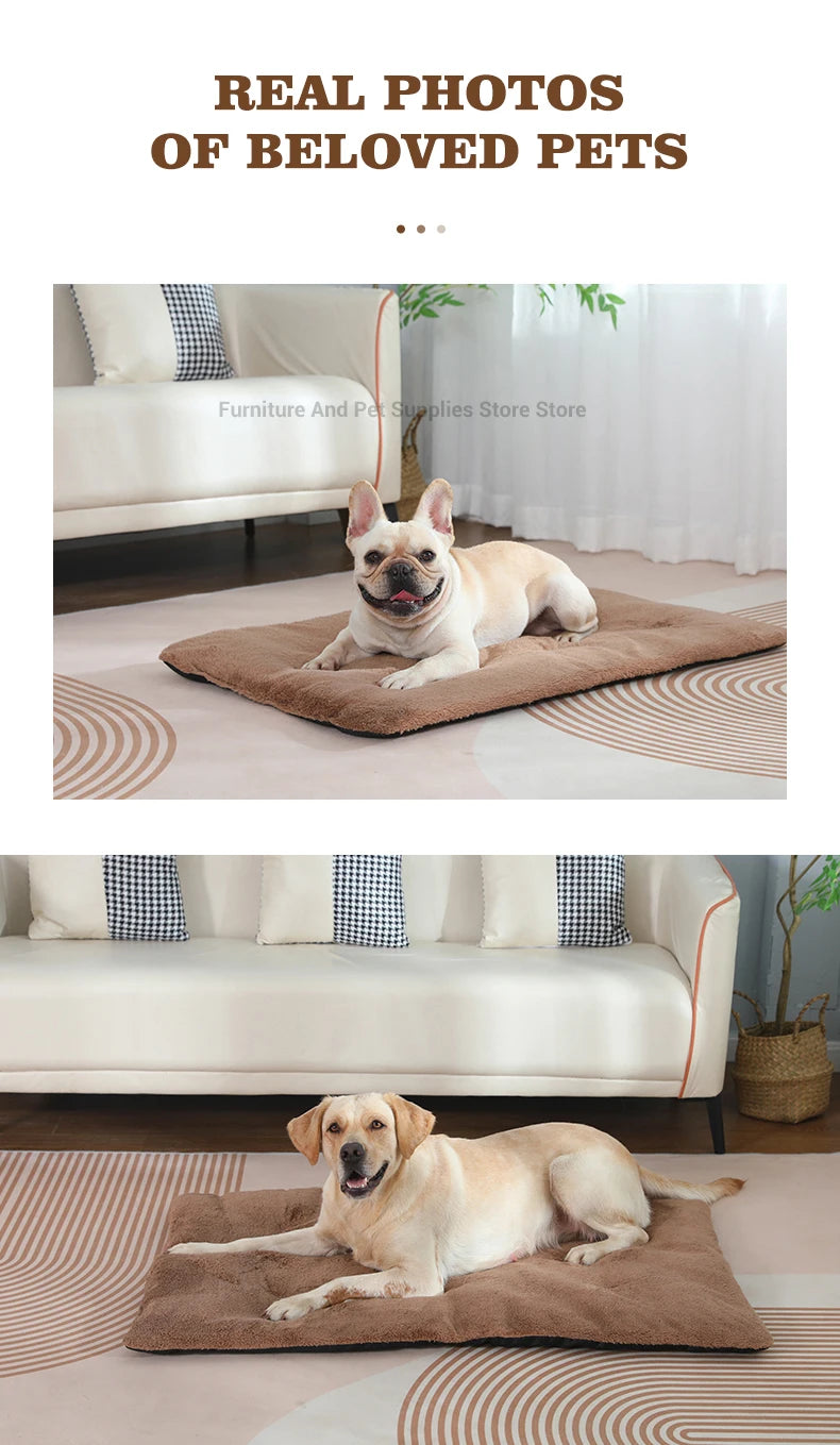 Self-Heating Thermal Pet Mat for Dogs & Cats – Washable Anti-Slip Kennel Pad, Sizes S–XL