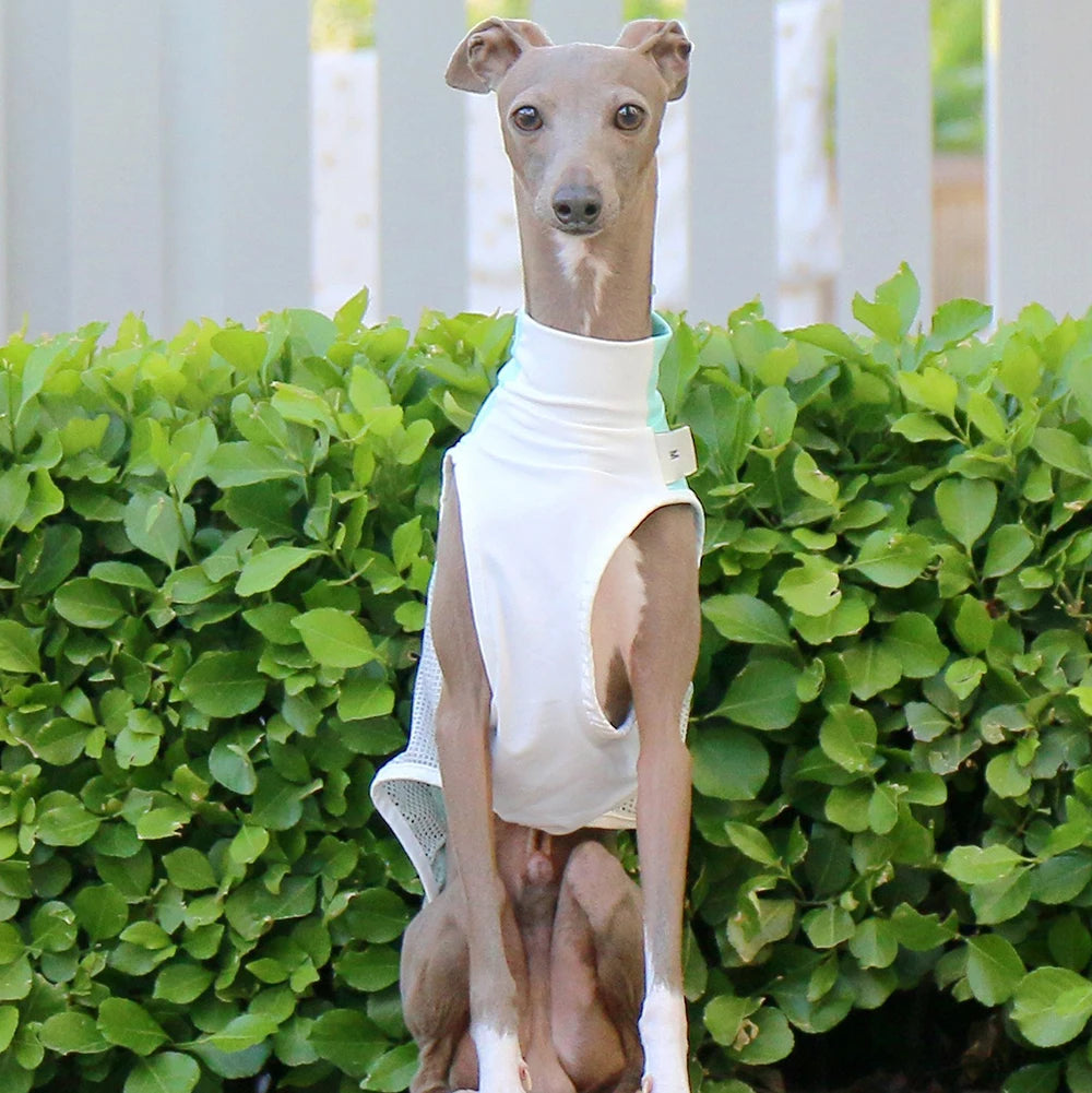 Breathable Summer Cooling Vest for Dogs & Cats