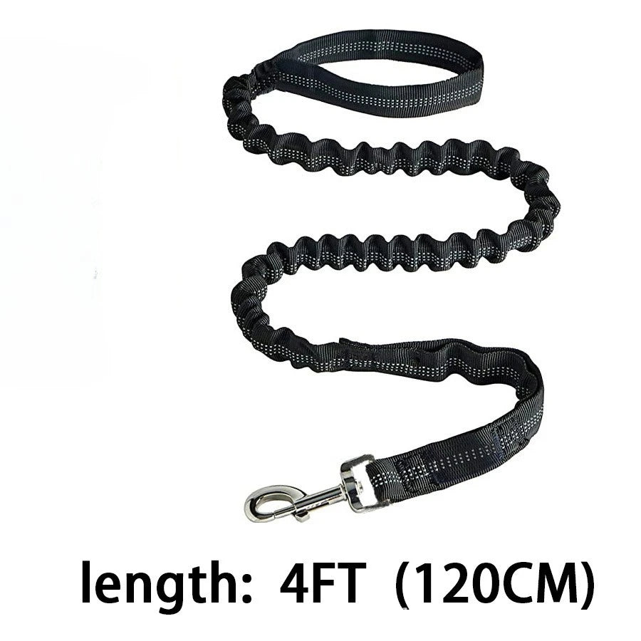 Laisse de dressage élastique antichoc pour chien