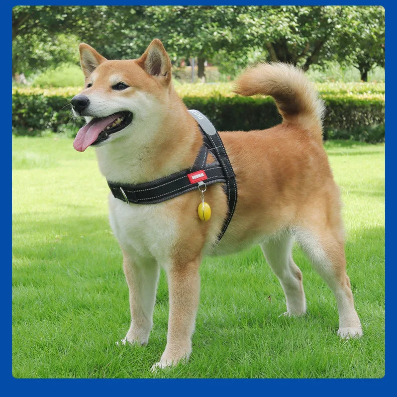 Saddle-Style Padded Dog Harness Vest