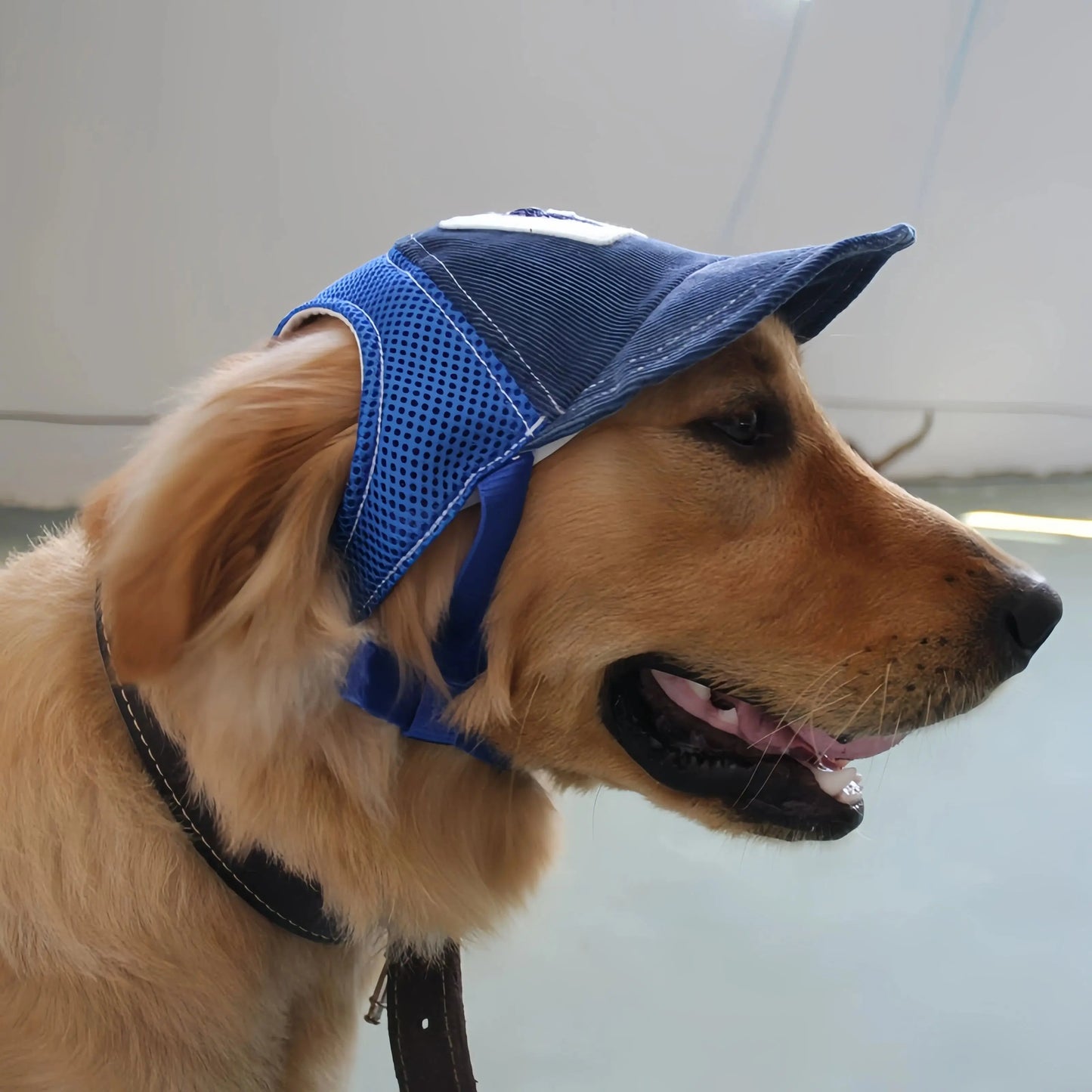 Casquette de baseball en velours côtelé avec trous pour les oreilles | Chapeau de sport d'extérieur réglable pour l'été pour petits et grands chiens