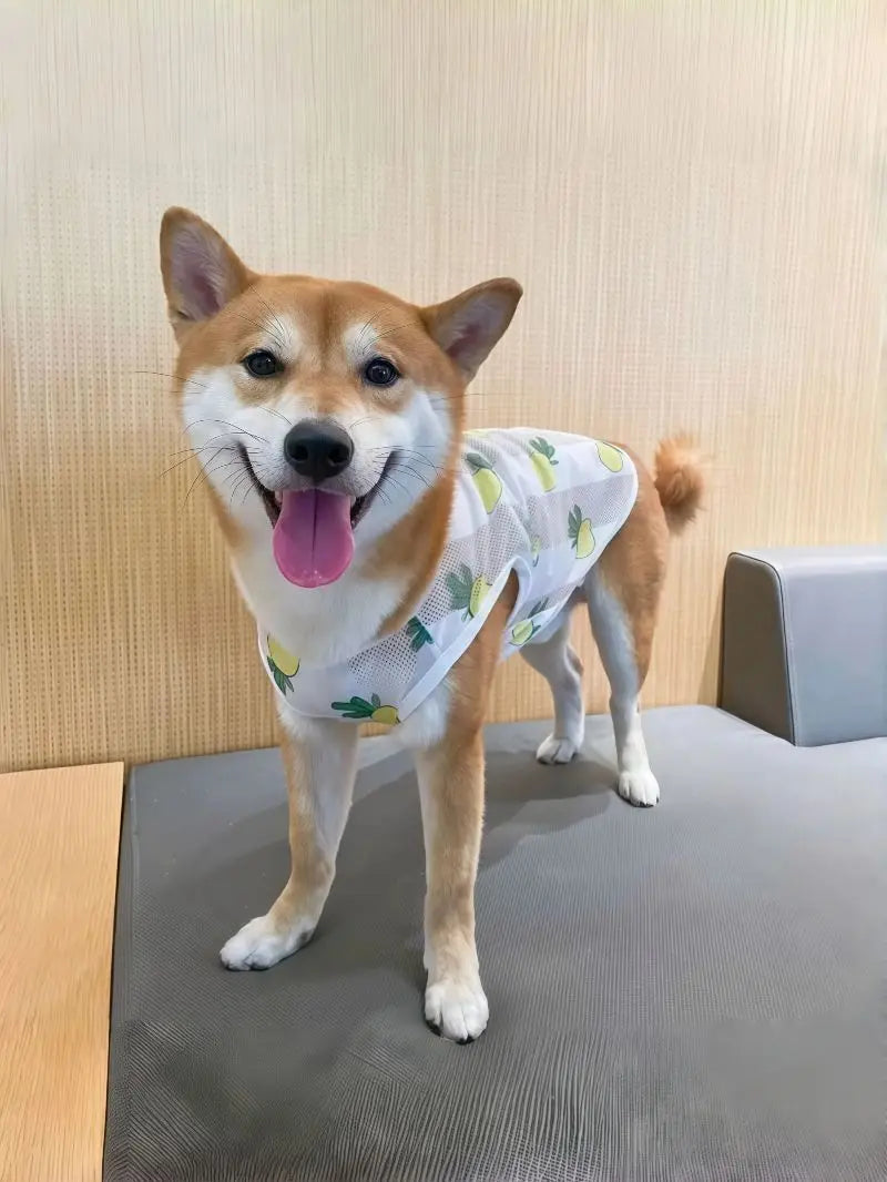 Breathable Mesh Cooling Vest for Dogs