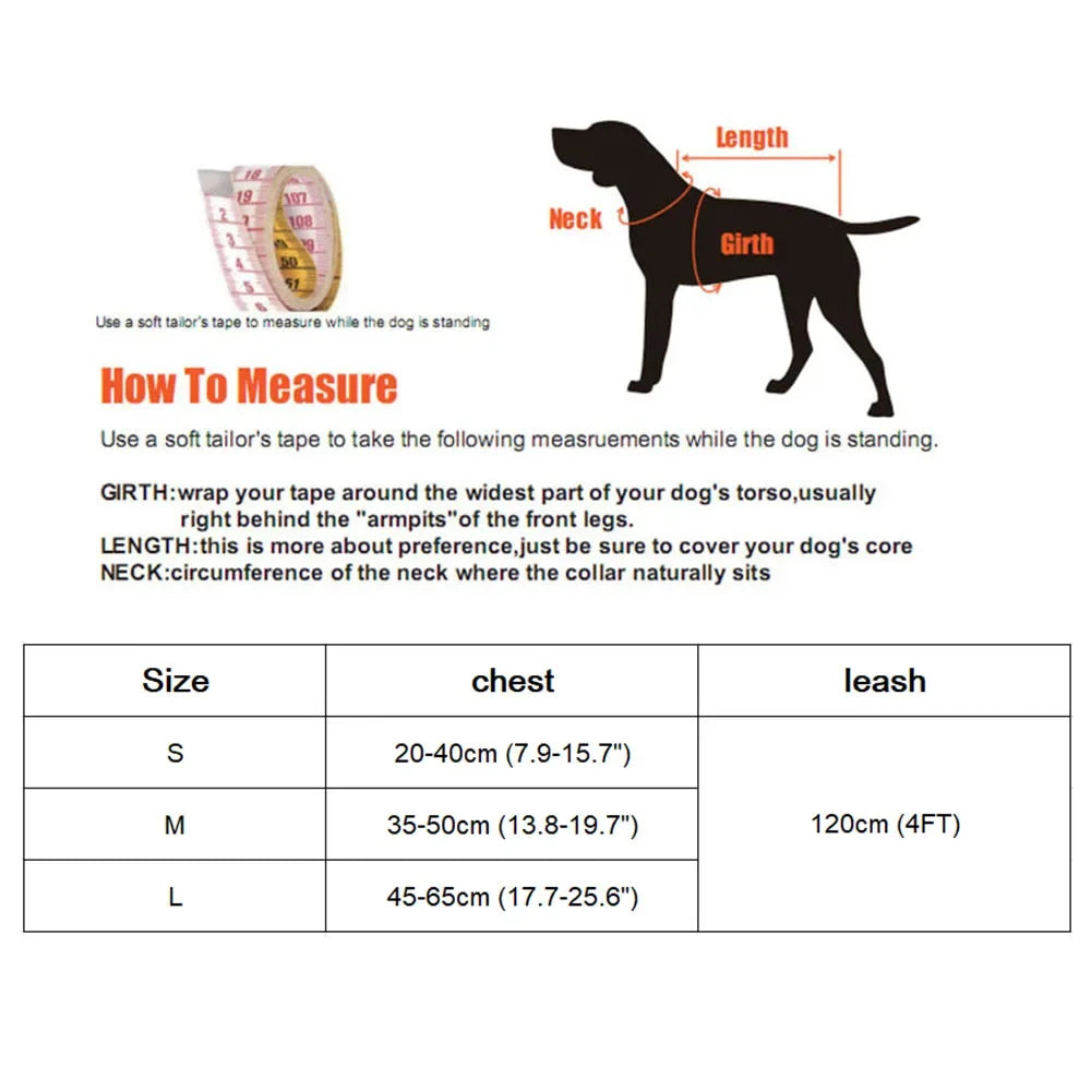 Nylon Mesh Cat & Small Dog Harness Set