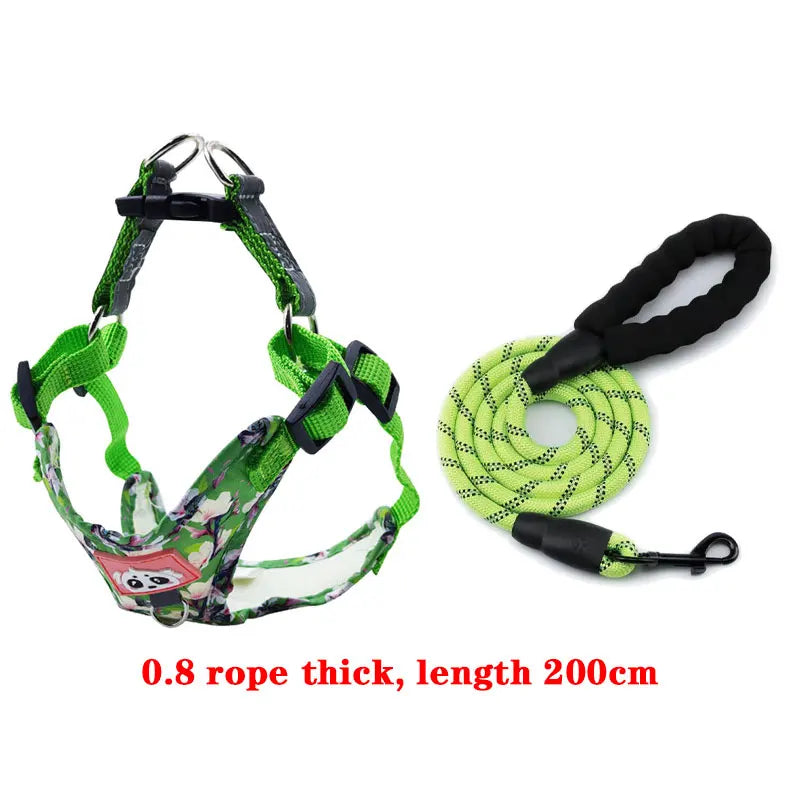 Adjustable Dog Harness & Leash Set with Reflective Strips